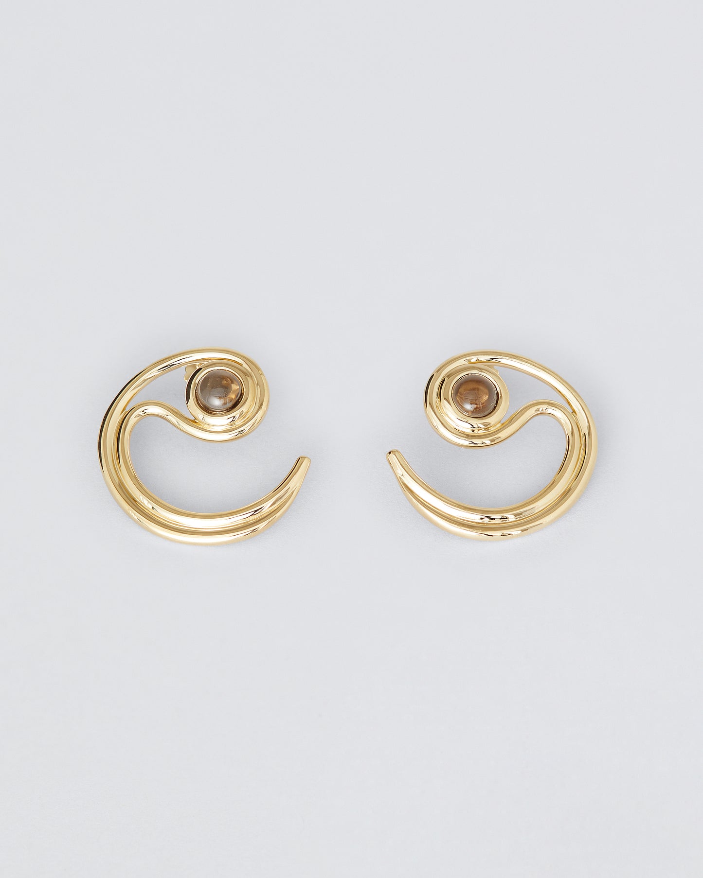 Prediction Earring