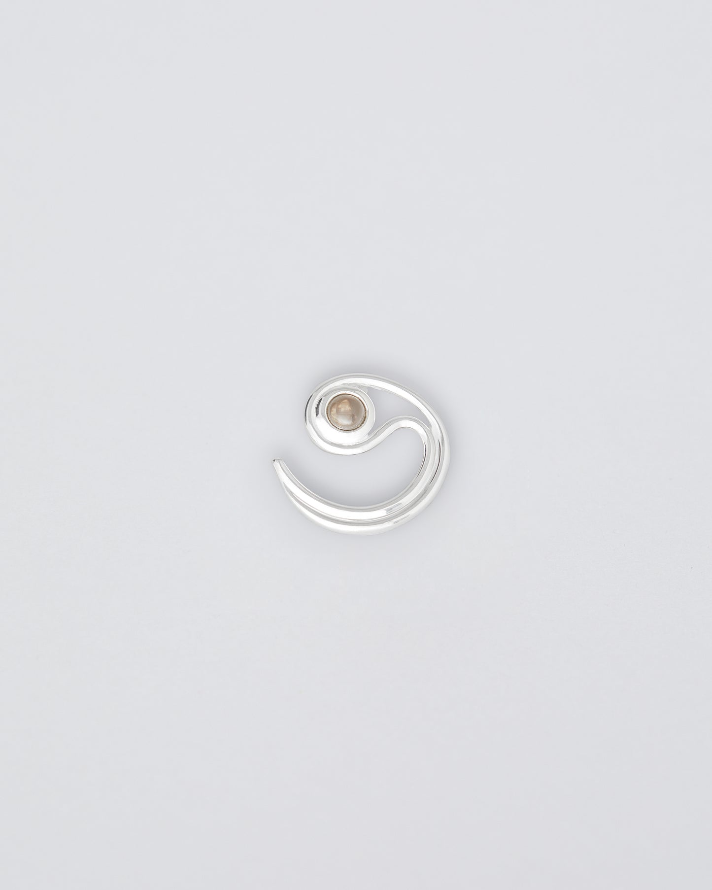 Prediction Earring