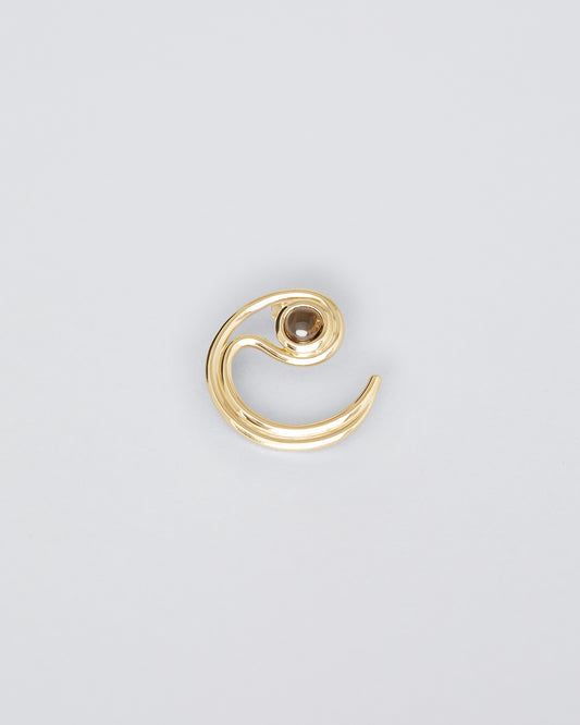 Prediction Earring