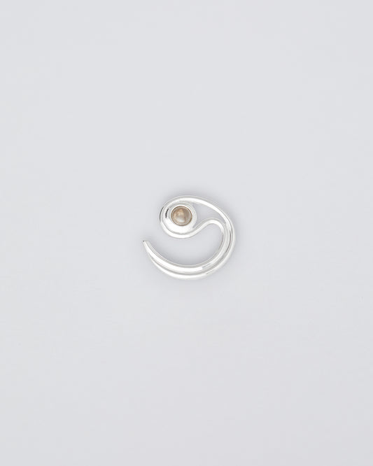 Prediction Earring