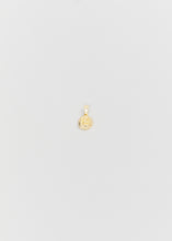 Load image into Gallery viewer, Rose pendant TTXDM